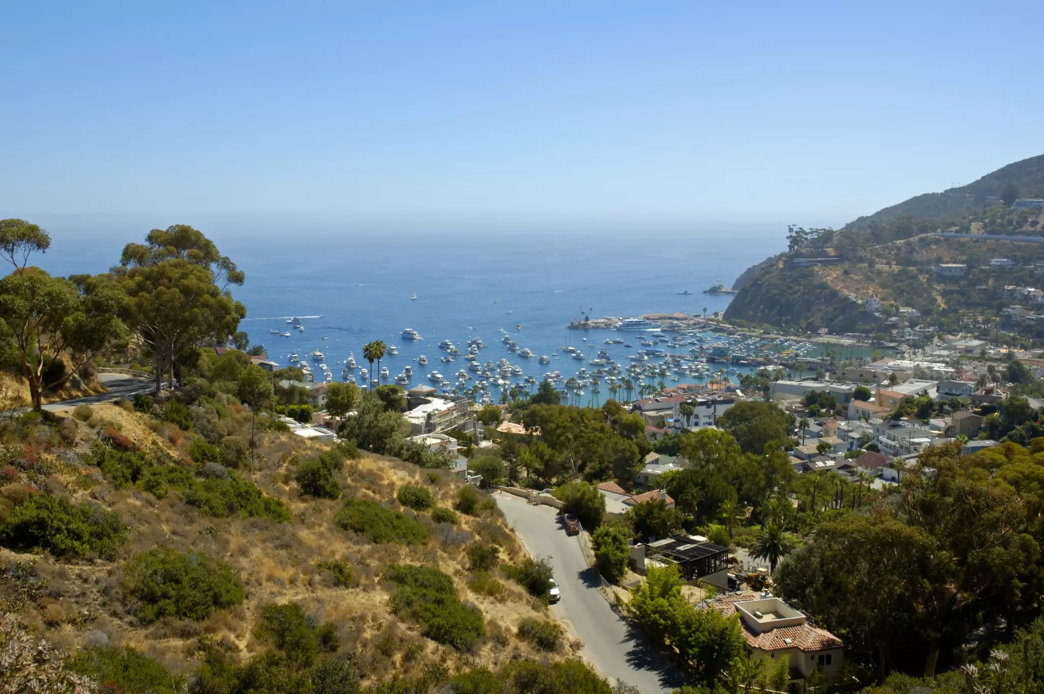 A view over Avalon on Santa Catalina island. Rodolfo Arpia/Shutterstock