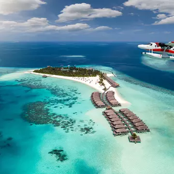 Sven Hansche / Shutterstock