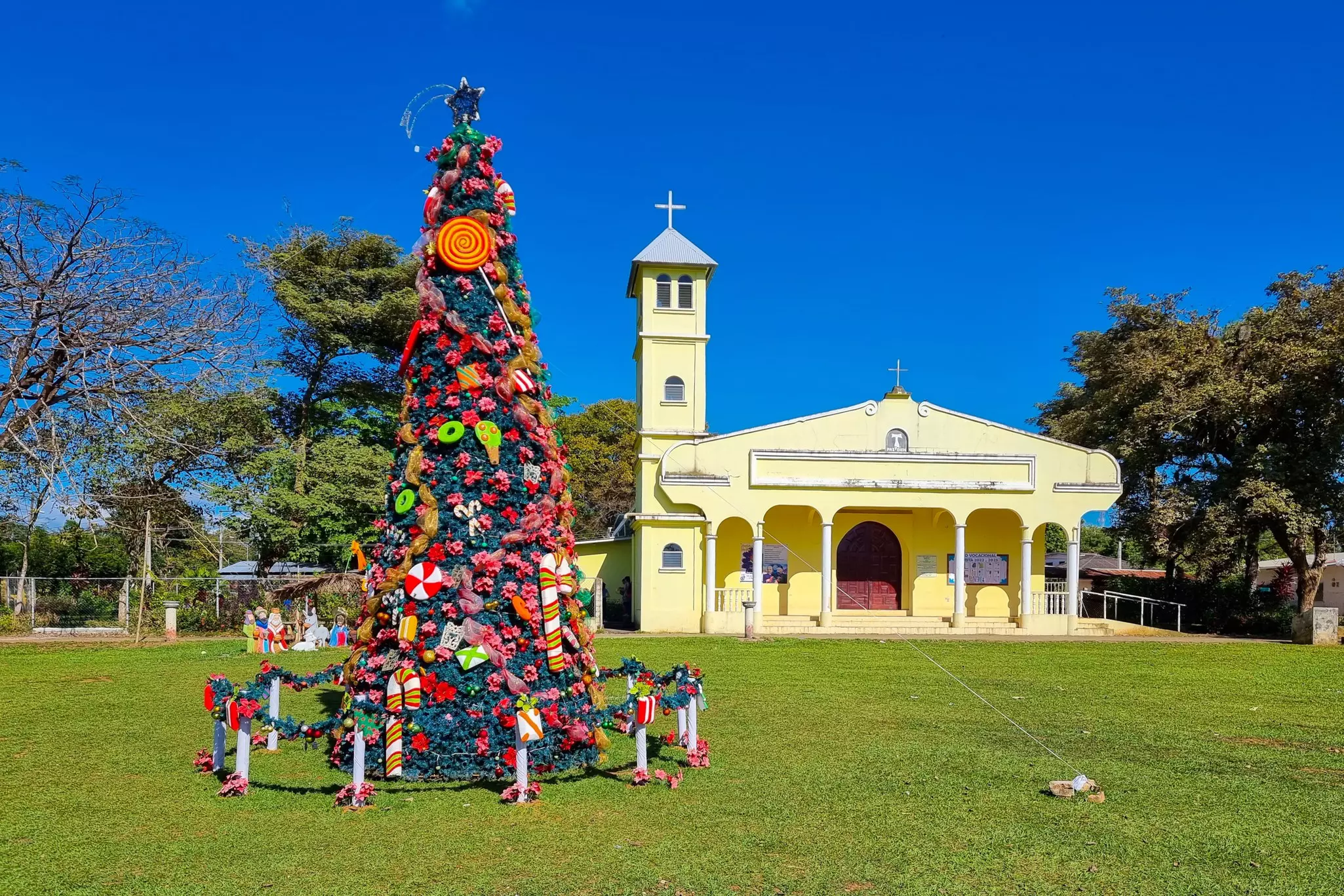 A Christmas tree in Dolega, Panama.