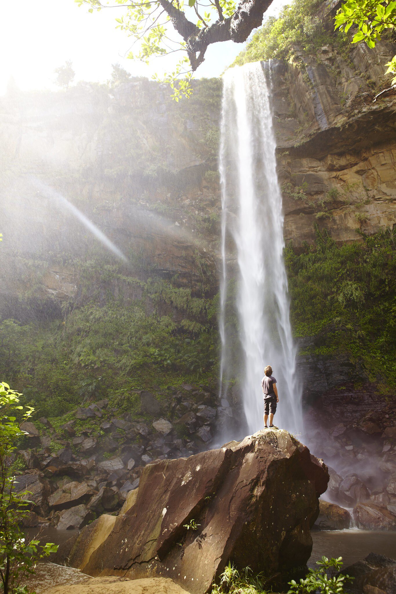 Man looking up at Pinaisāra Falls surrounded by greenery on Iriomote Island, Japan.