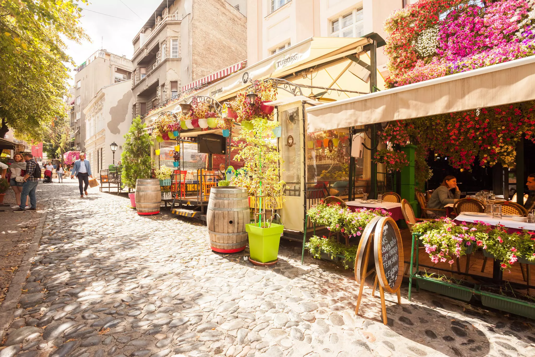 Colourful flowers at the cafes of Skandarlija (Skandarska), Belgrade's bohemian quarter.