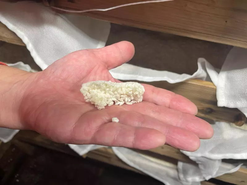 Rice sample at AKOMEYA TOKYO.