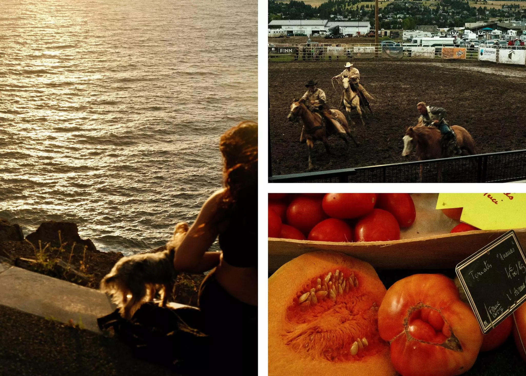 Staff favorite cameras: Ann Douglas Lott - 1
Collage for "Our editors' favorite cameras for travel"

Left: Sunrise on Makapuʻu Point Lighthouse Trail, Oahu, Hawaii. Top right: Missoula Stampede in Montana. Bottom right: Tomatoes for sale at a market in Les Sables d'Olonne, France. Ann Douglas Lott/Lonely Planet (3)