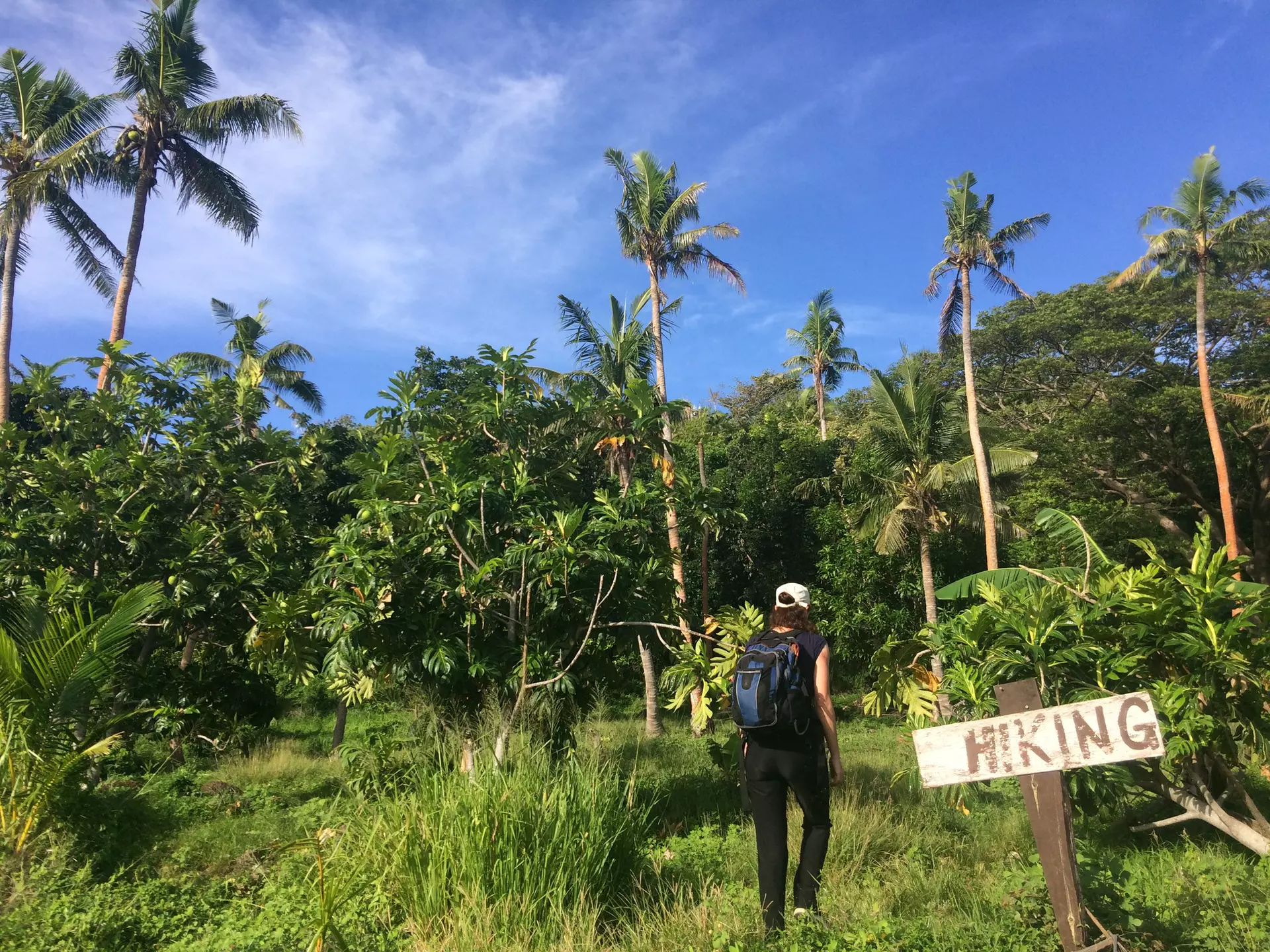 Hiking a trail in Fiji. chameleonseye/Getty Images