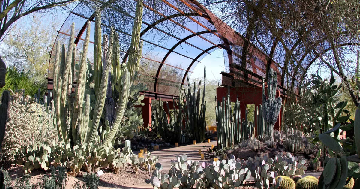The 11 best things to do in Phoenix - Lonely Planet