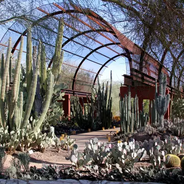 Different cacti and other desert flora at the entrance to Desert Botanical Garden, Phoenix