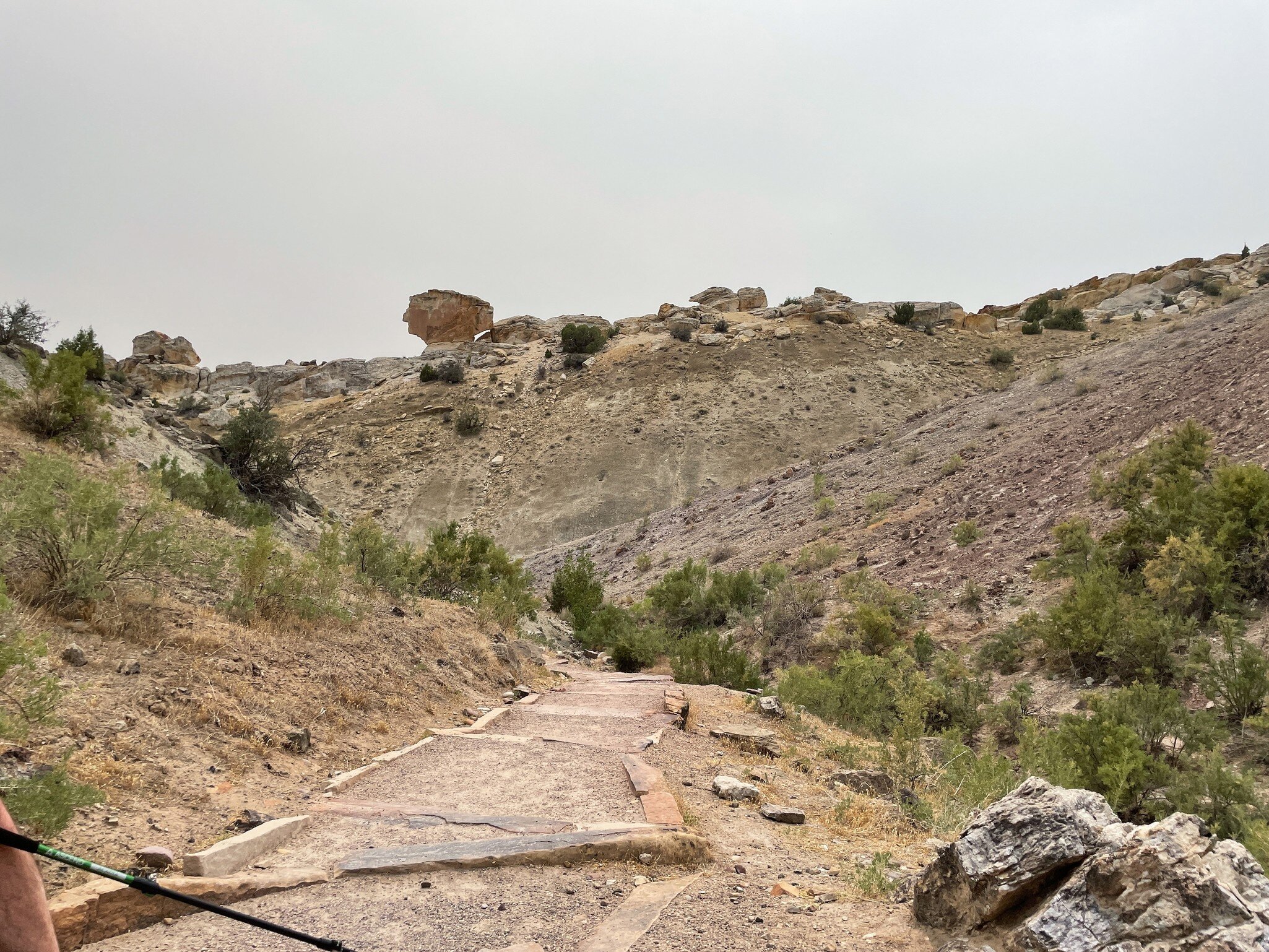 Dinosaur National Monument Fossil Discovery Trail; Shutterstock ID 2060975387;