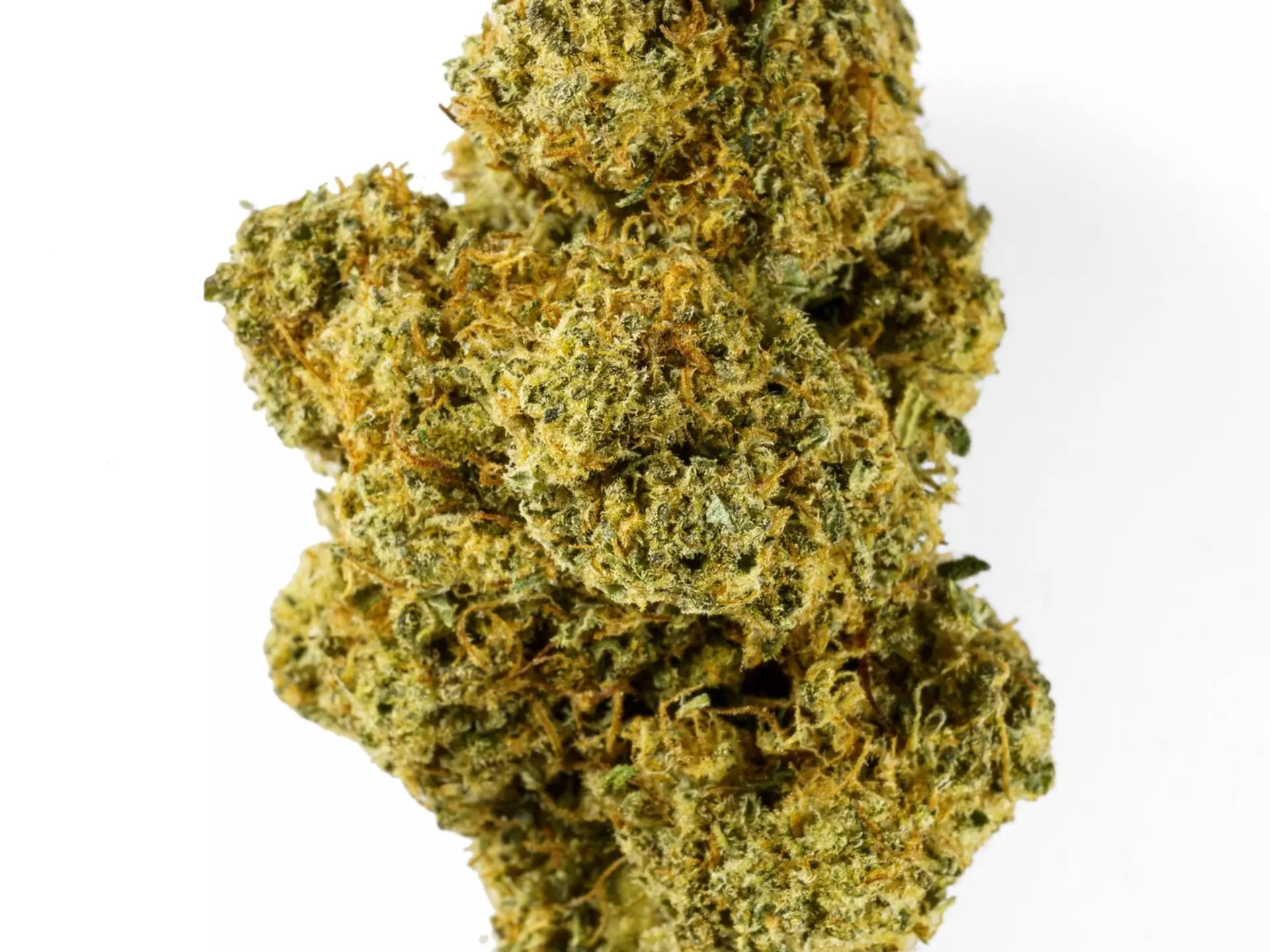cannabis