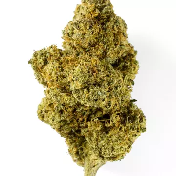 cannabis