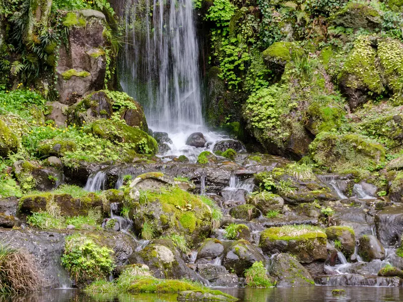 A waterfall in a lush and mossy Japanese garden. 