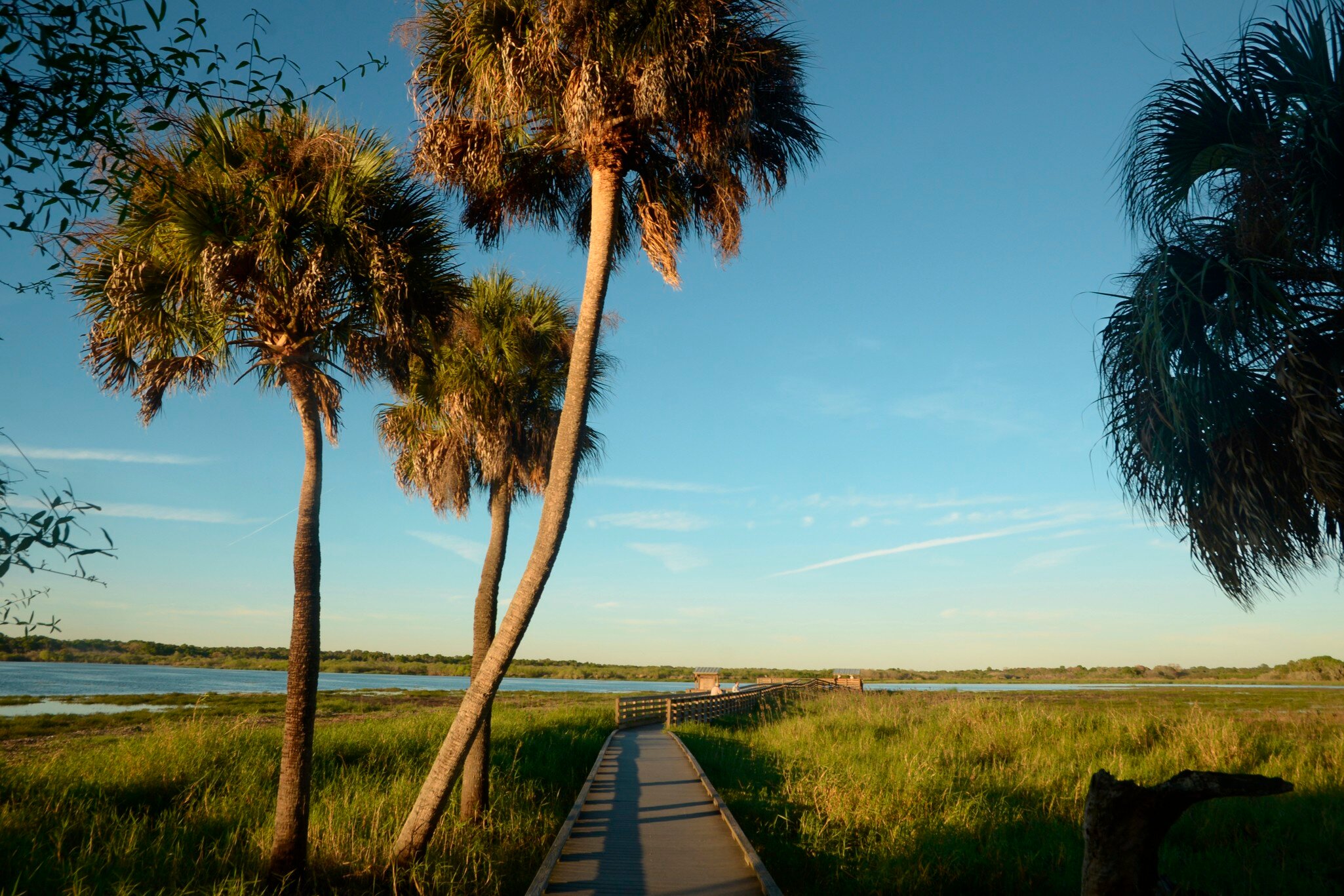 People walk on a boar walk in Myakka State Park, in Sarasota, Florida. (Photo by: Education Images/UIG via Getty Images)