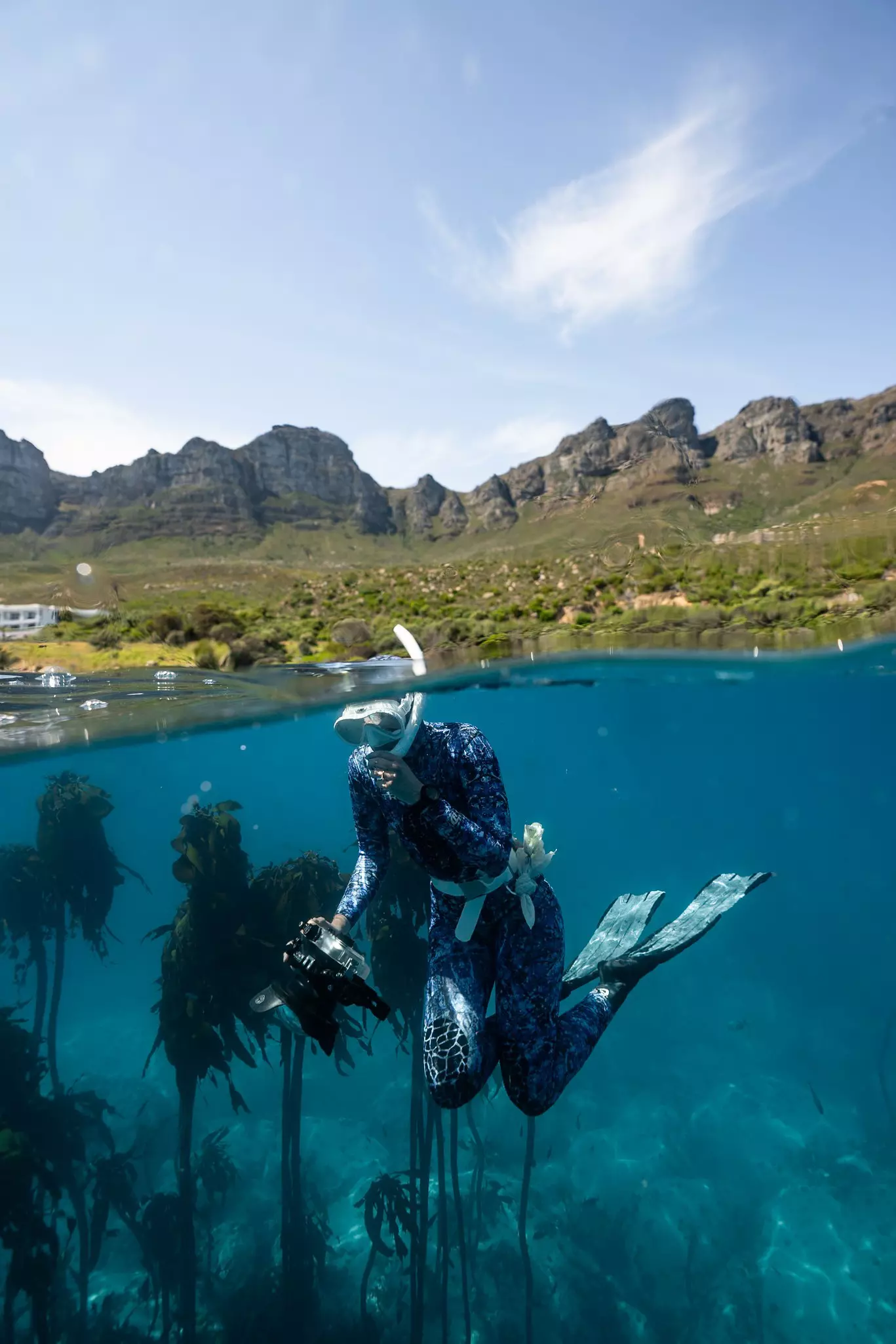 A diver in a vibrant underwater scene in Cape Town, with a view of the greenery and mountains above.
