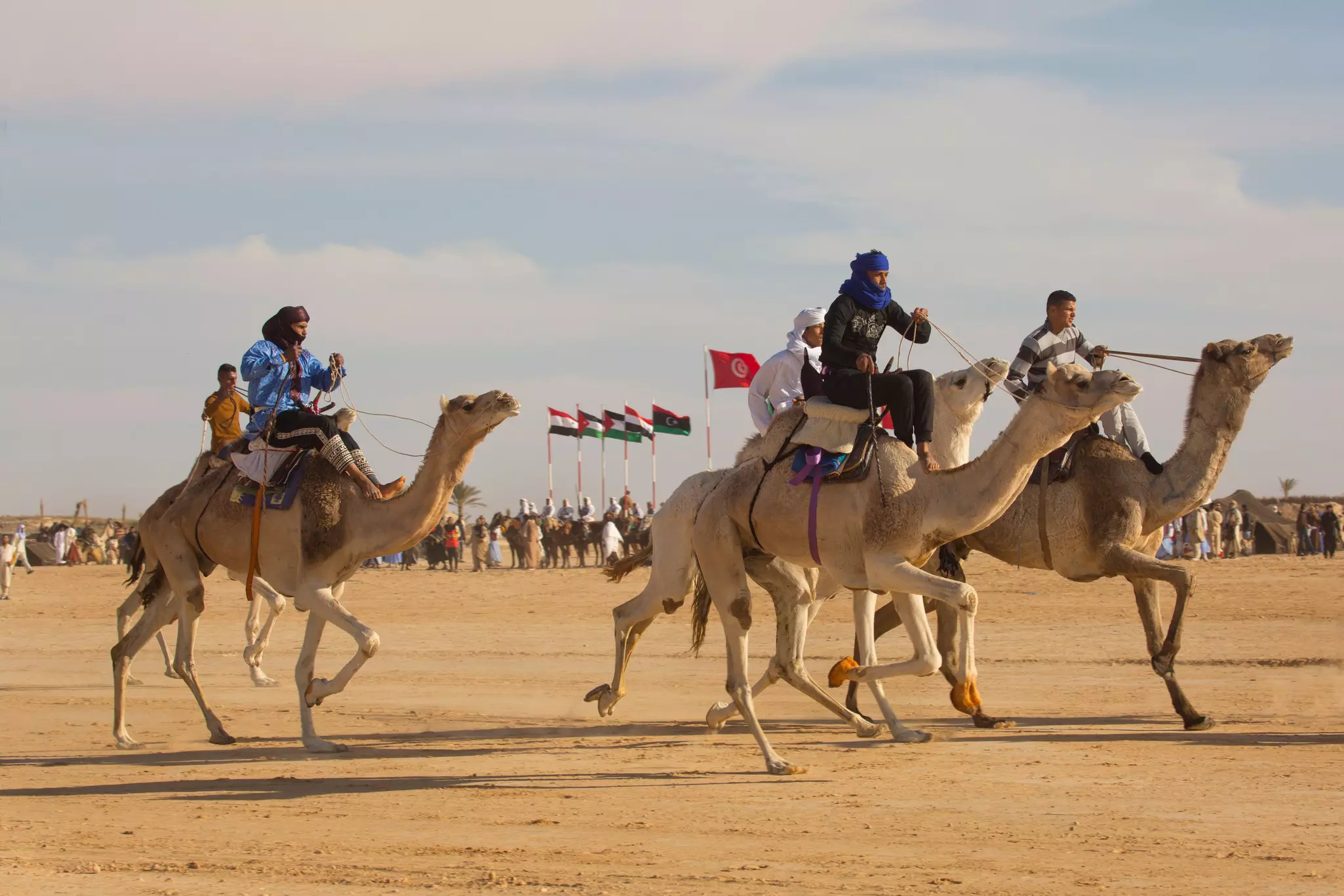 Camel races during the Festival of the Sahara in Douz, Tunisia.