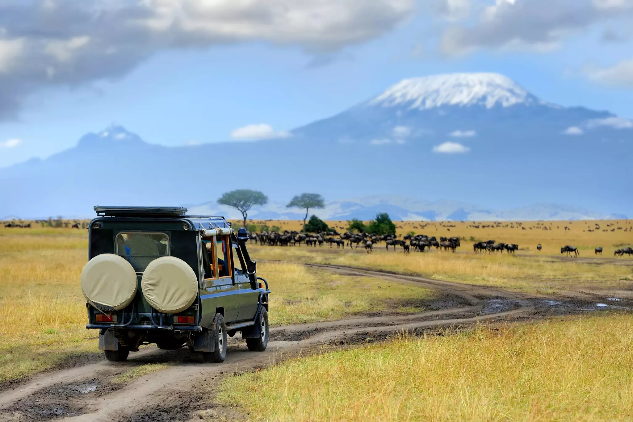 Masai Mara. Volodymyr Burdiak/Shutterstock
