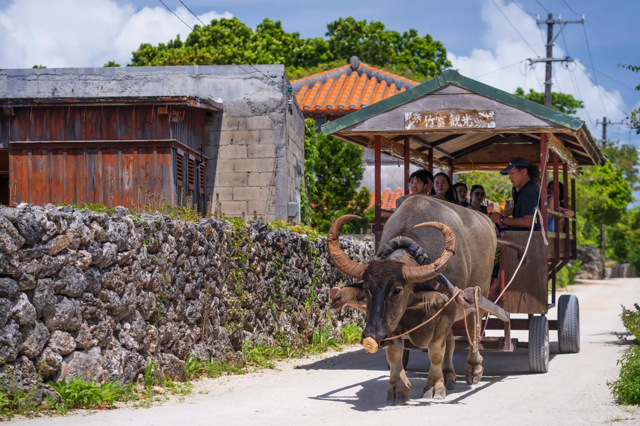 A water buffalo pulls a cart loaded with tourists down a quaint village street.