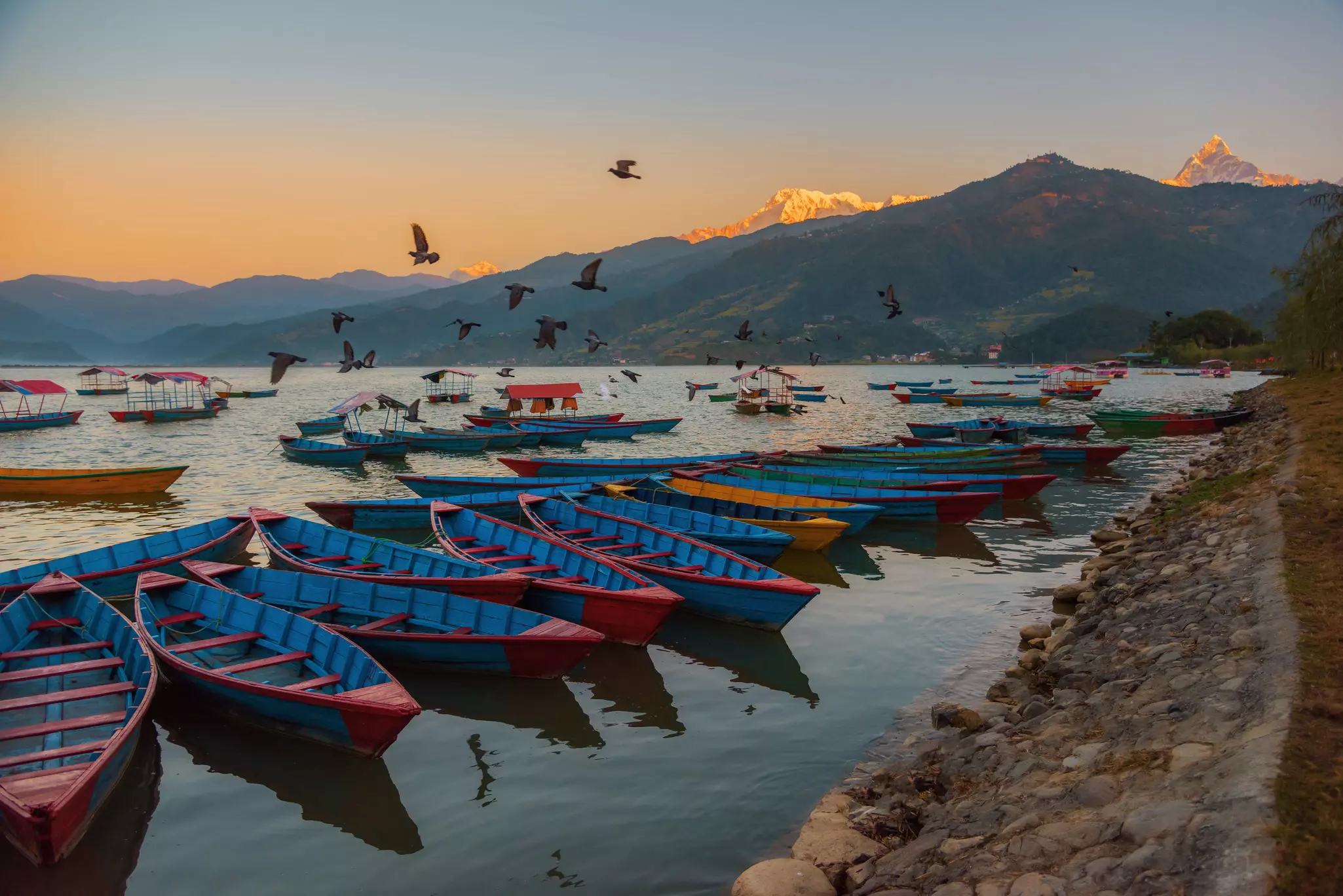 A line of colorful boats are by the lake. Birds fly and you can see the Himalayas in the background.