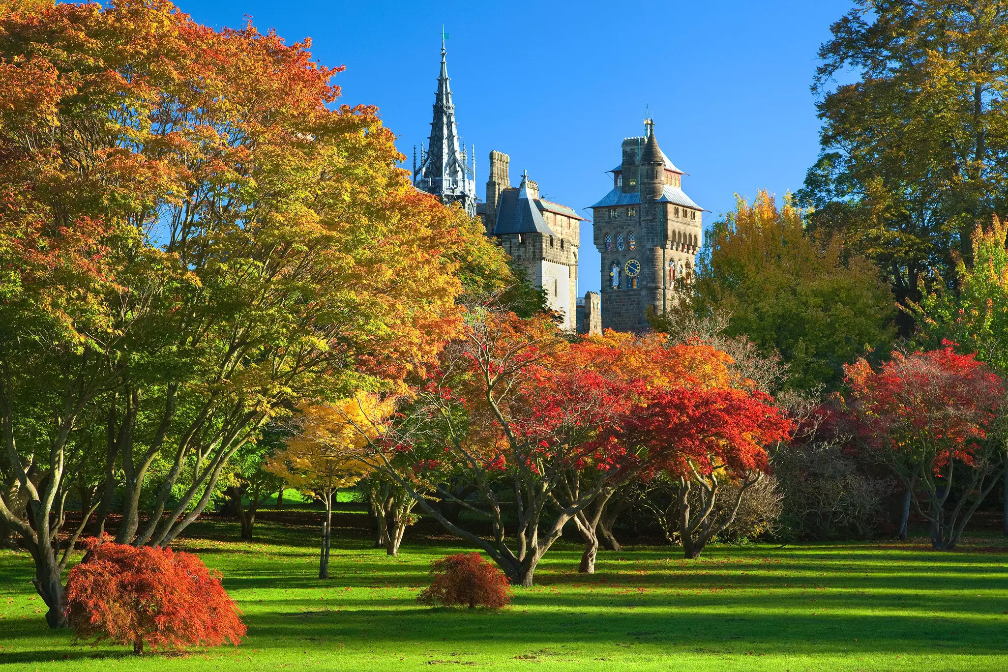Cardiff Castle, seen from Bute Park in autumn, Wales, UK.