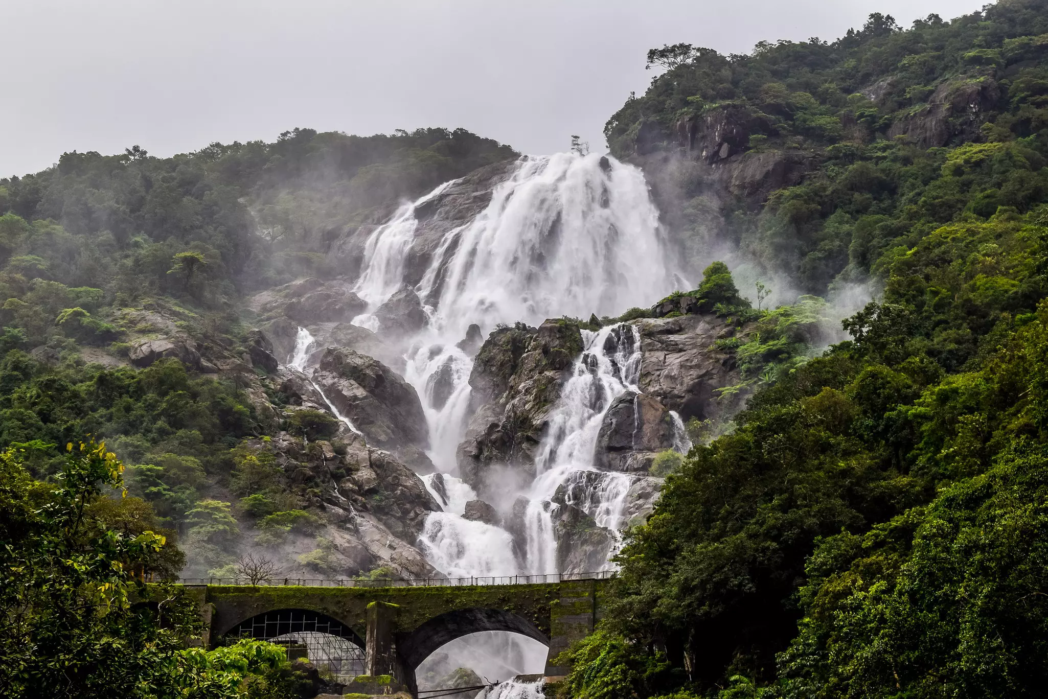 Goa,Dudhsagar,Waterfall,During,Monsoon,,Bhagwan,Mahaveer,Wildlife,Sanctuary