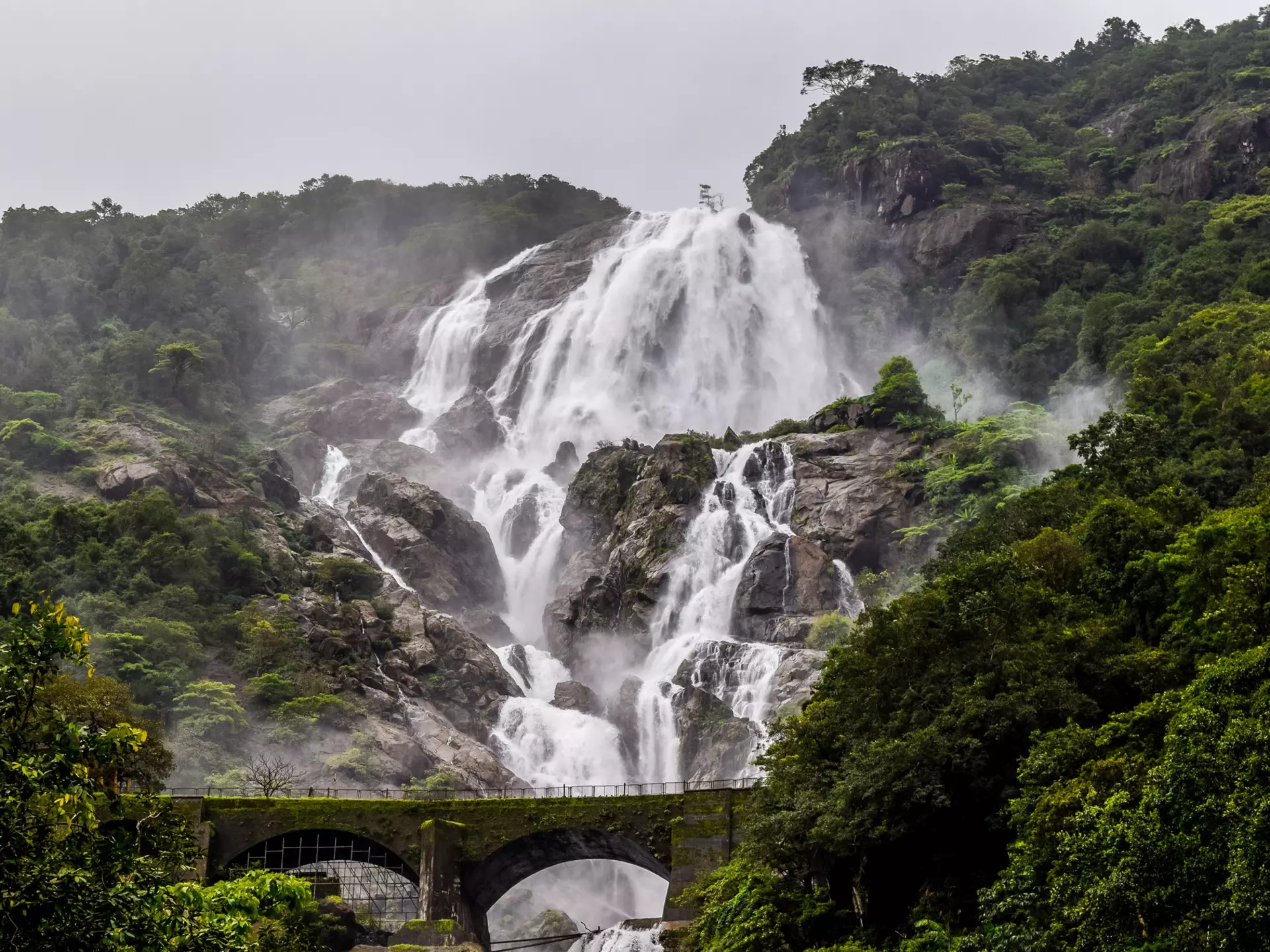 Goa,Dudhsagar,Waterfall,During,Monsoon,,Bhagwan,Mahaveer,Wildlife,Sanctuary