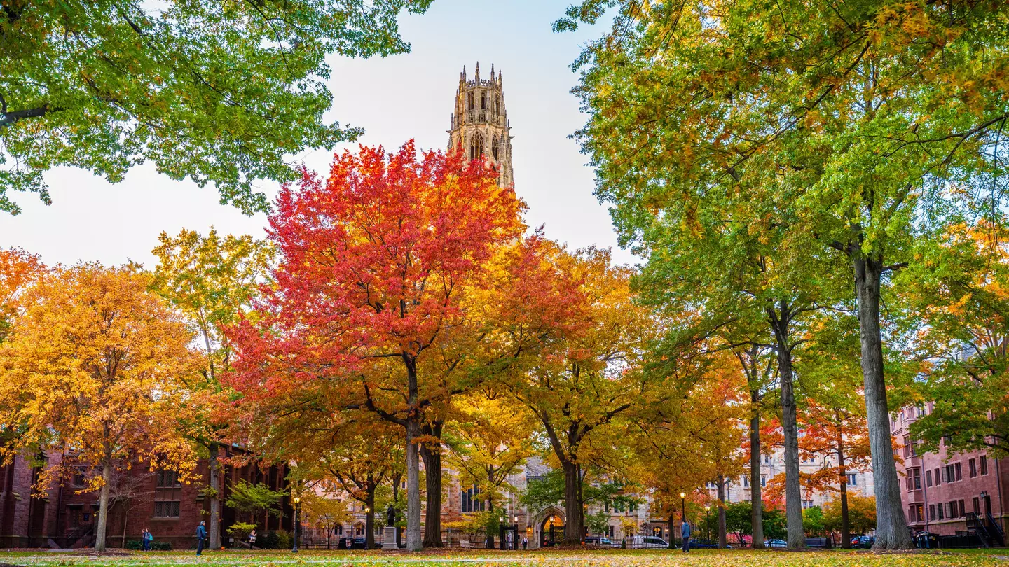 There's nothing quite like Yale's campus in the fall © Winston Tan / Shutterstock