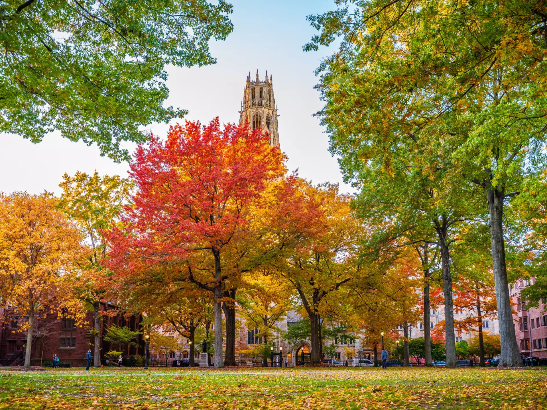 There's nothing quite like Yale's campus in the fall © Winston Tan / Shutterstock