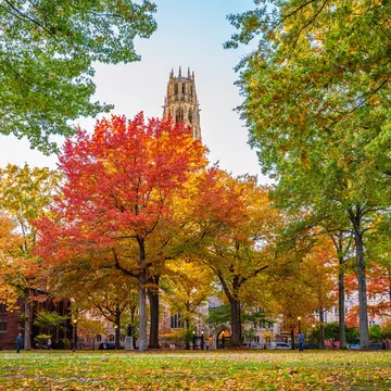 There's nothing quite like Yale's campus in the fall © Winston Tan / Shutterstock