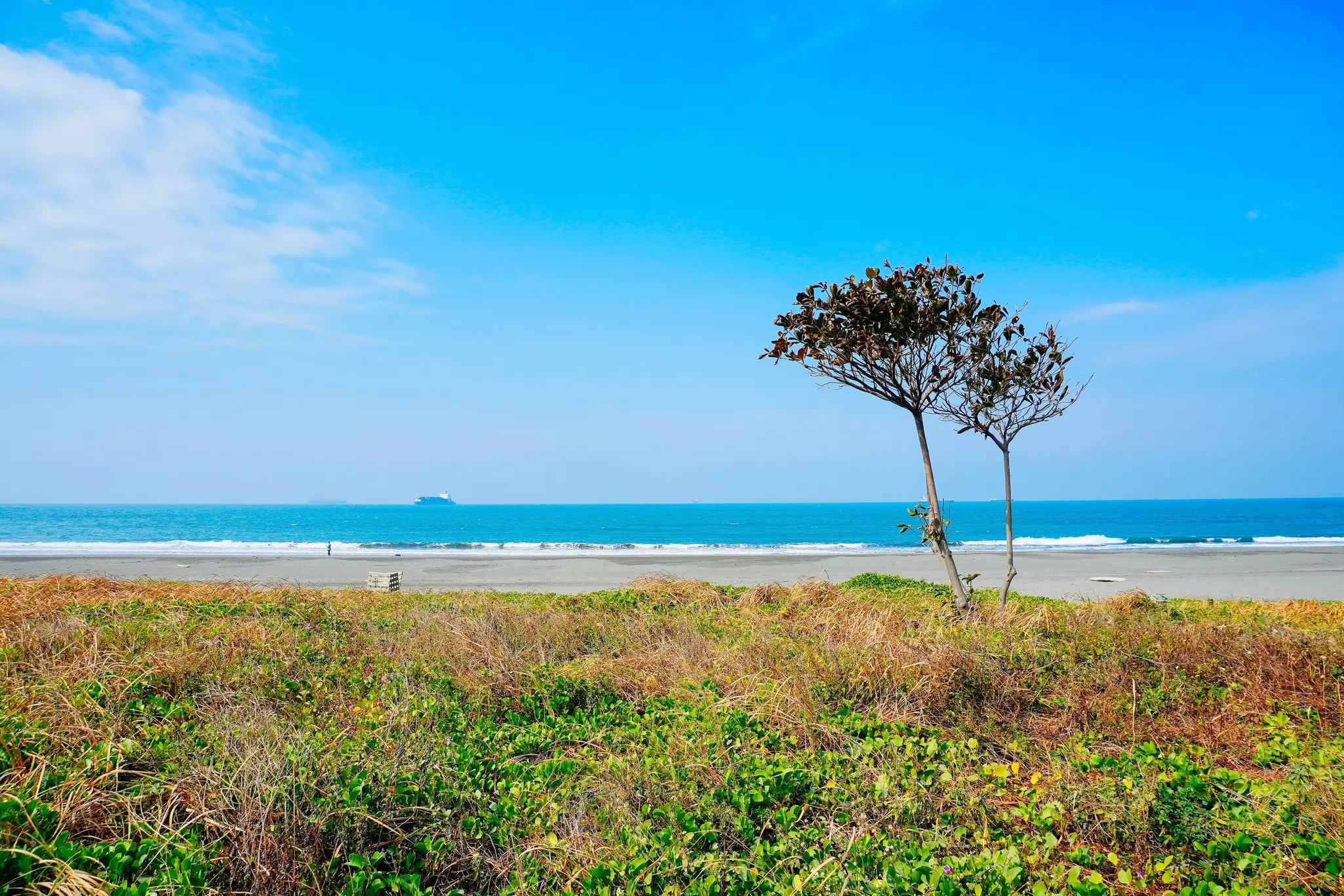 A beach backed by grass and trees.