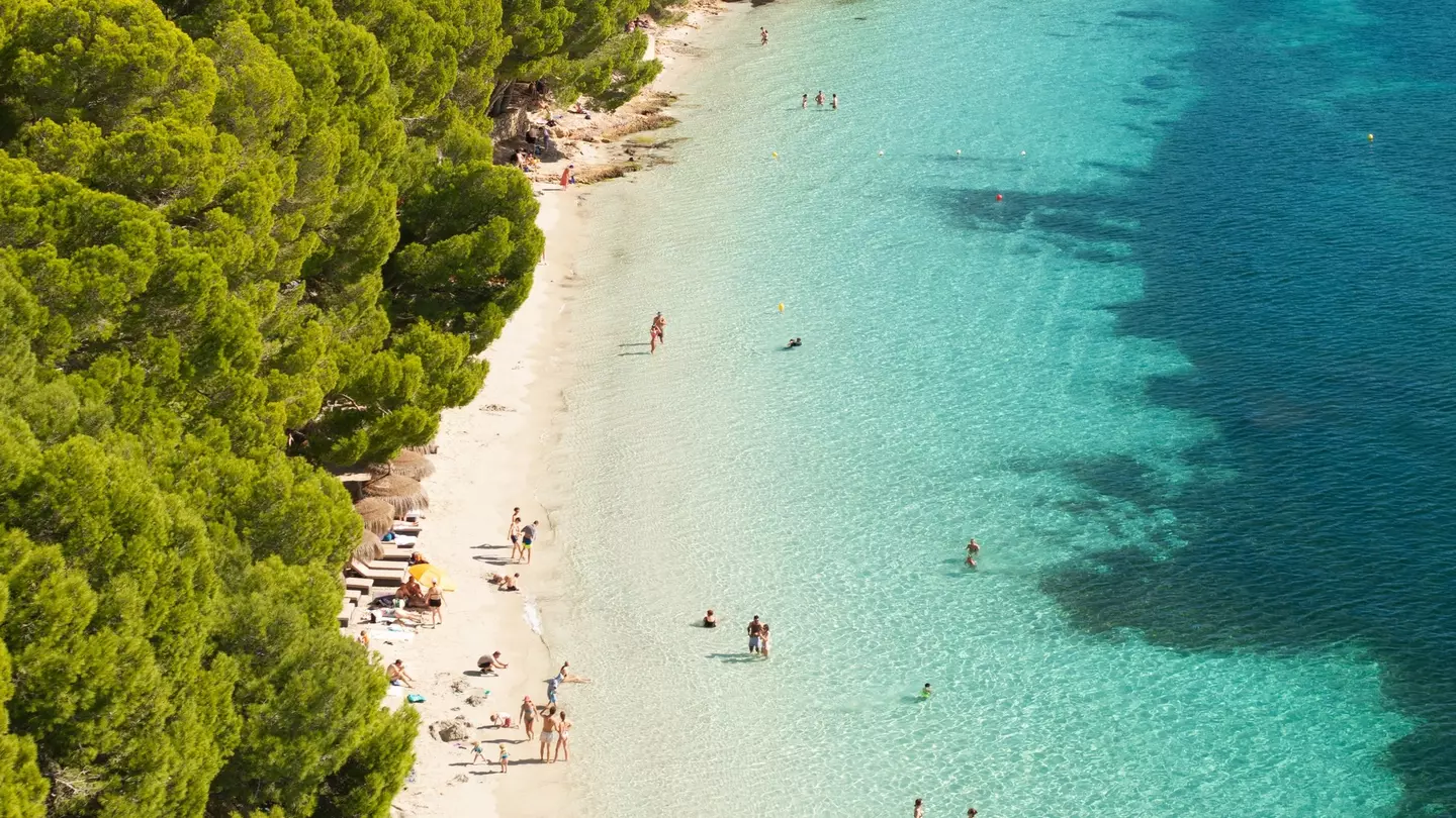 People wander on a white-sand beach backed by a forest, and paddle in the turquoise ocean