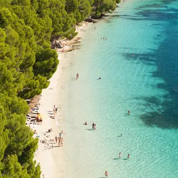 People wander on a white-sand beach backed by a forest, and paddle in the turquoise ocean