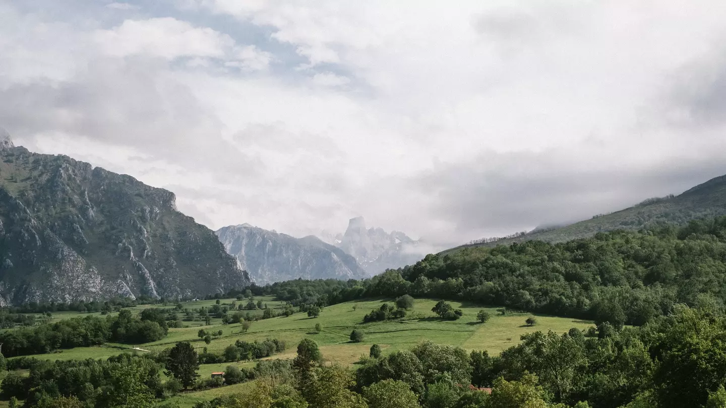 A green field surrounded by trees with rocky peaks in the background under cloudy skies.