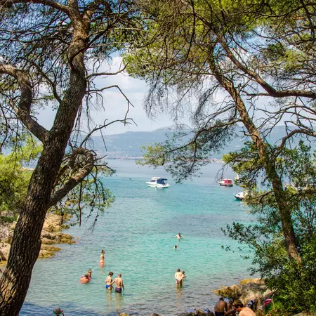 People wade in the water of a beach surrounded by a forest