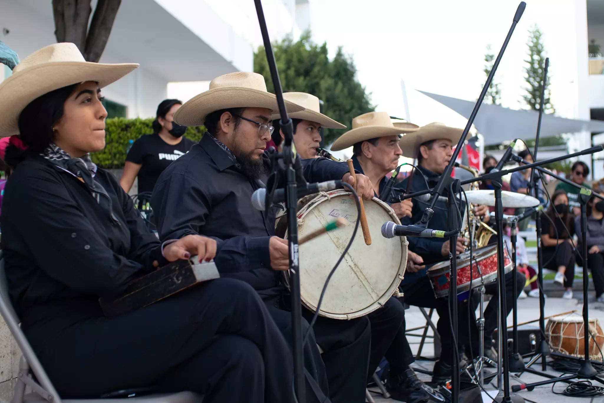 group of traditional mexican music band playing Son Jarocho
