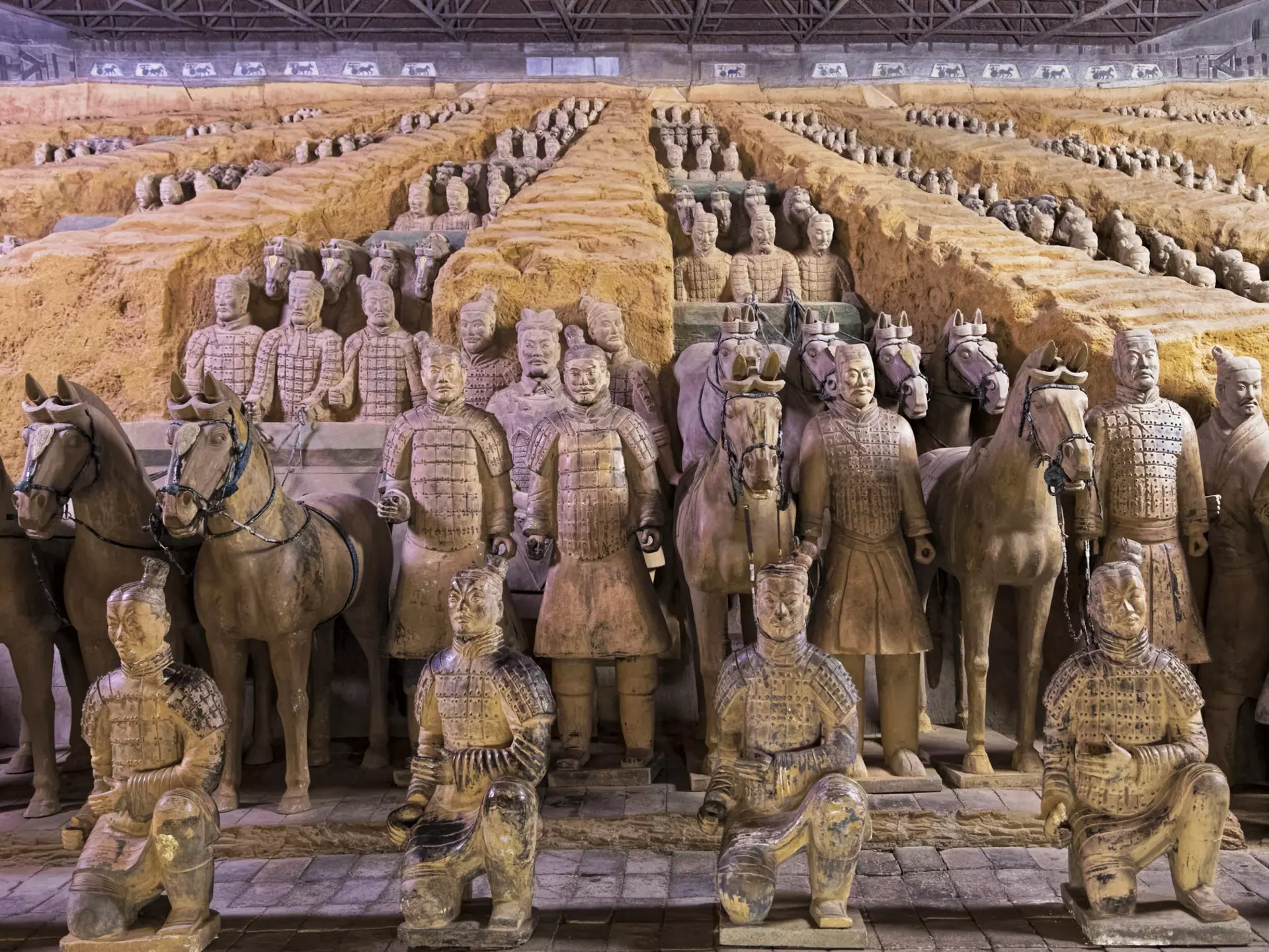 Rows of life-size terracotta sculptures of soldiers and horses are lined up in giant pavillion.