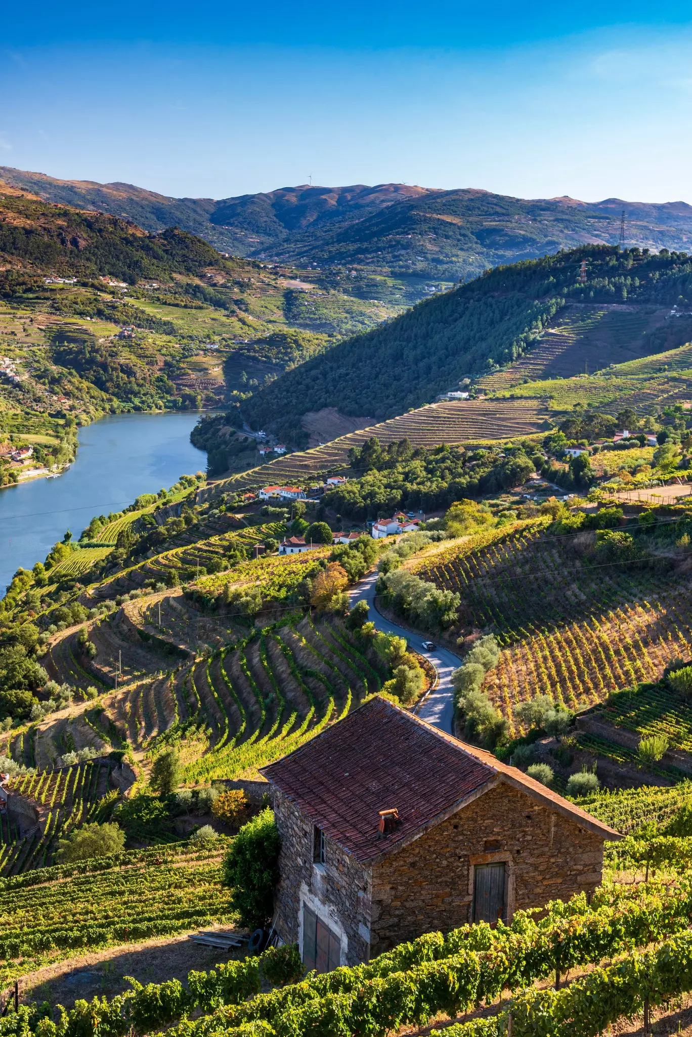 View over the Douro valley in Mesao Frio, Portugal., License Type: media, Download Time: 2024-10-03T16:36:14.000Z, User: Eointloughney87, Editorial: false, purchase_order: 56530, job: Global Publishing-WIP, client: Best Road Trips Spain & Portugal 3, other: Eoin T Loughney