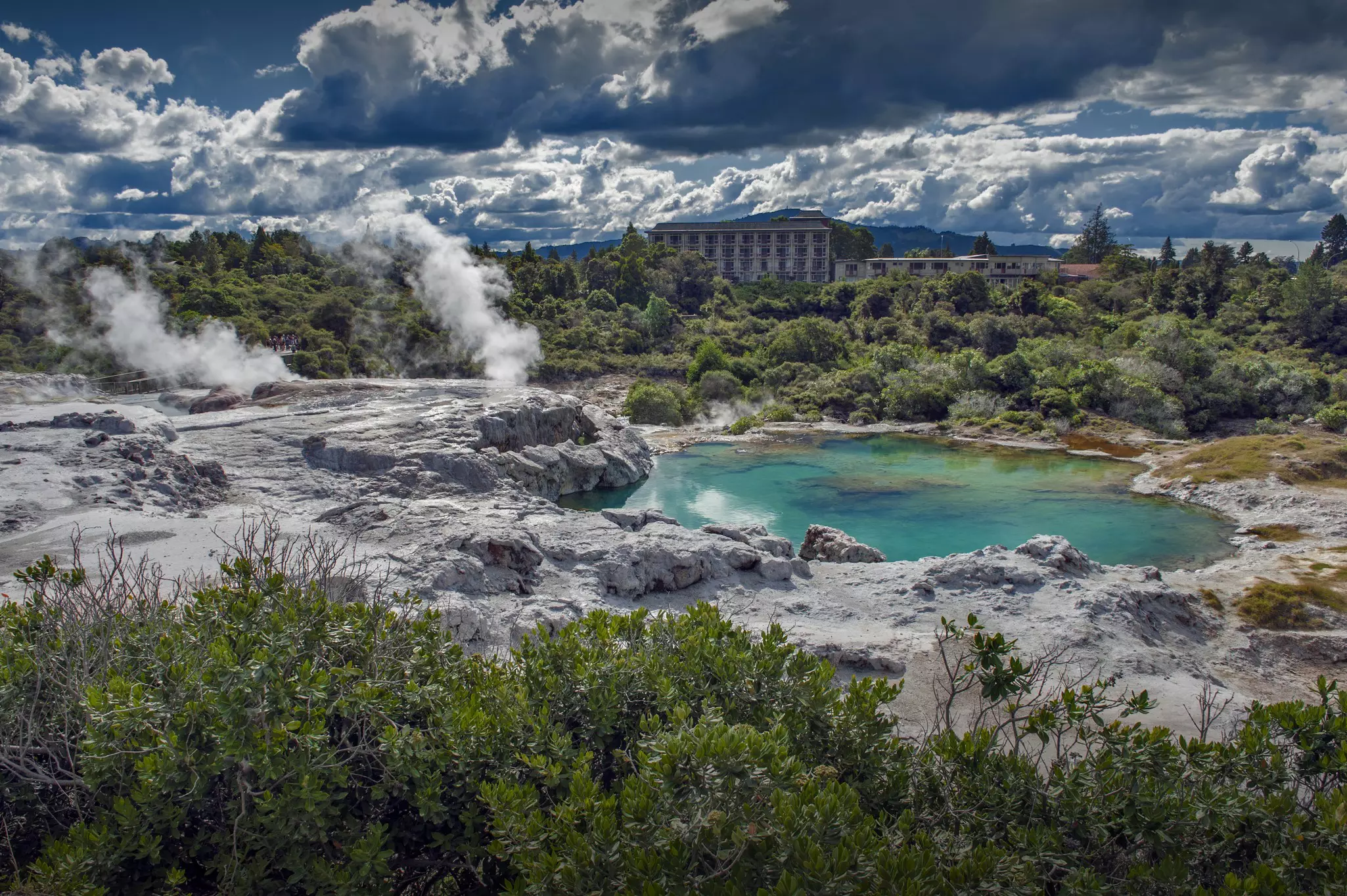 Whakarewarewa Geyser at Te Pui thermal park in geothermal valley of Rotorua, New Zealand.