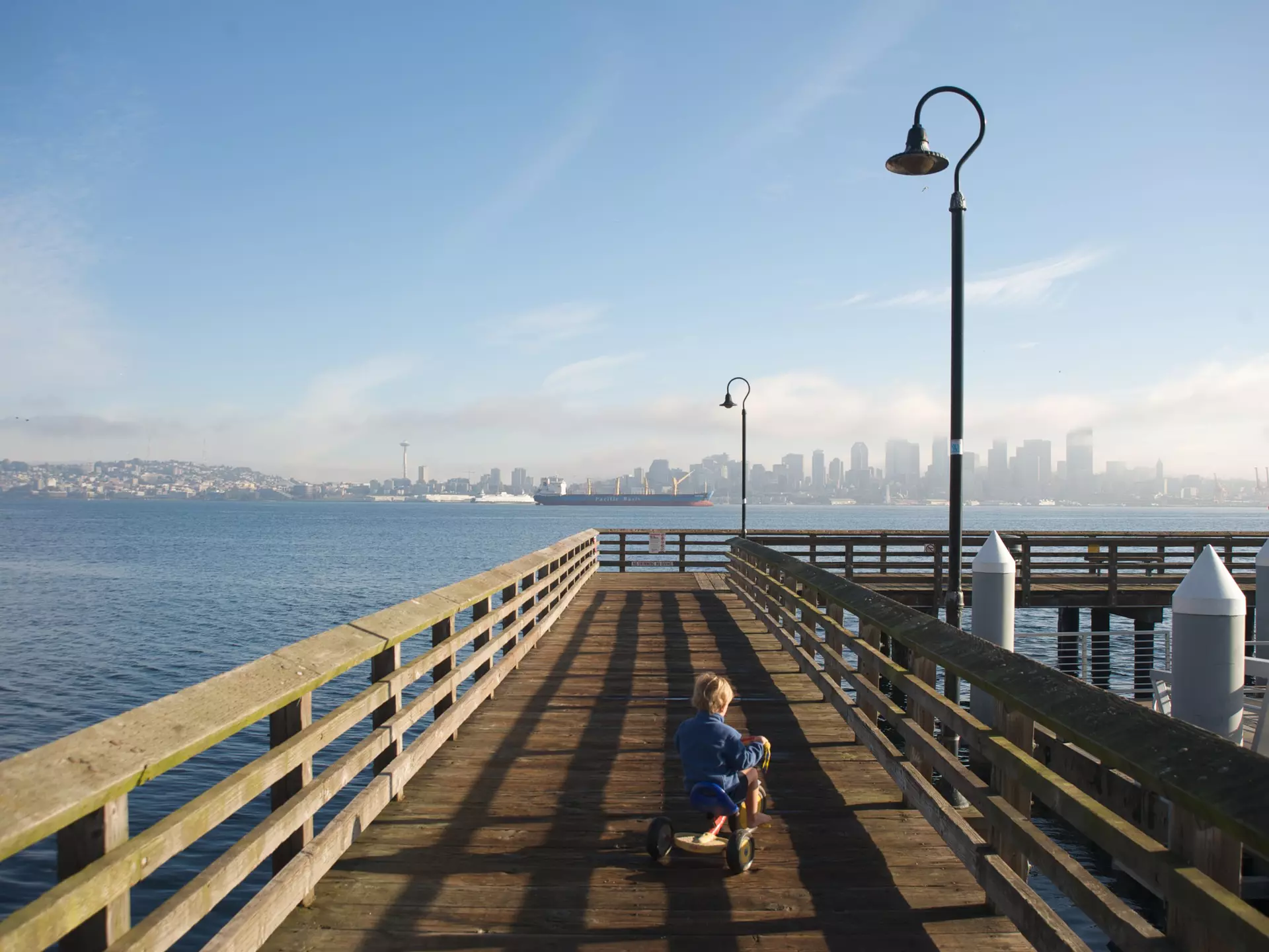 Boy rides tricycle on wooden dock looking out at Seattle skyline from Alki Beach.
187156606
destination, childhood, city
