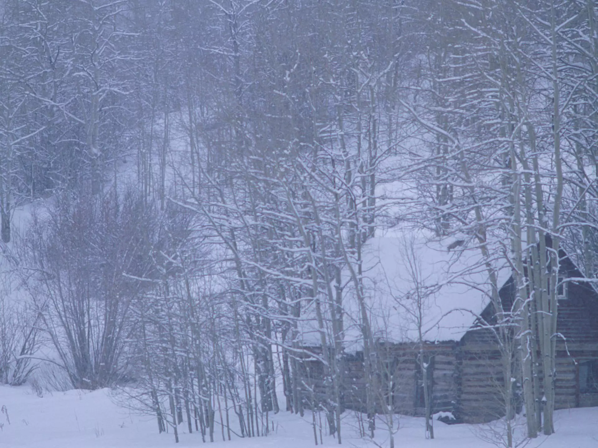Two men nordic ski across a snowy meadow in front of a log cabin in the snow
