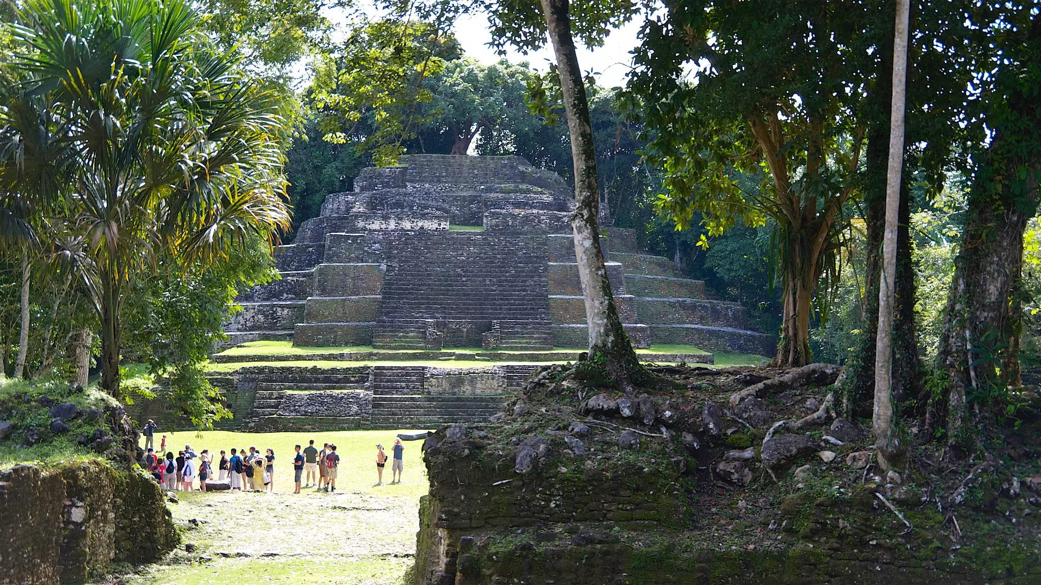 Wide shot of tourists dwarfed by the Temple of the Jaguar Mayan pyramid in Lamanai, Belize.
