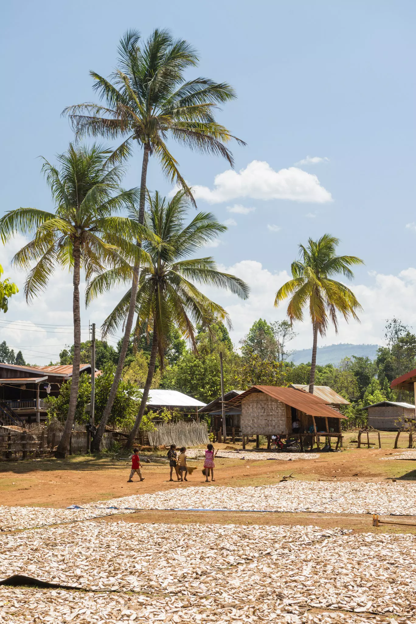 Children walk along a dirt path near some crops drying at the edge of a small village surrounded by tall palm trees.