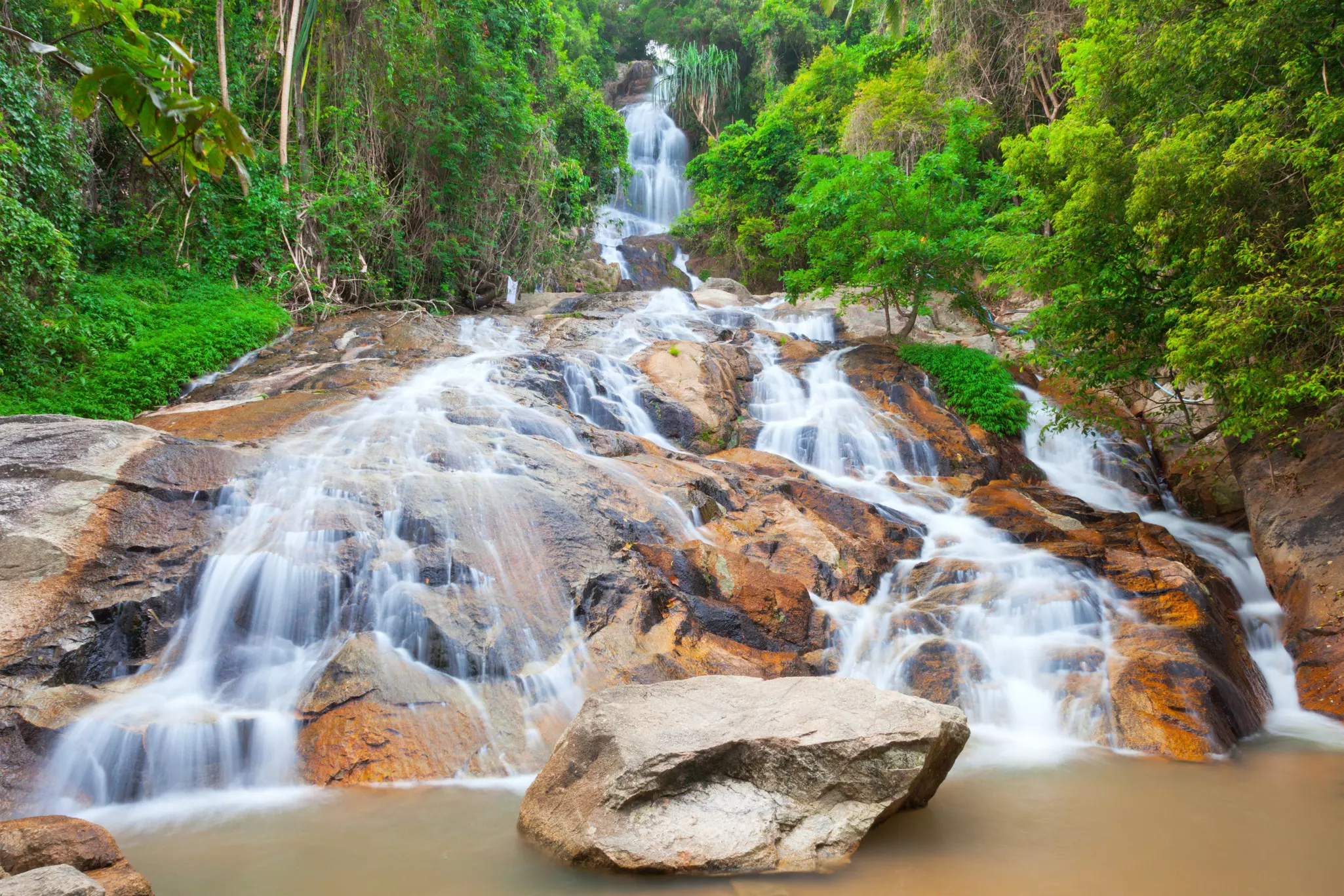 Water cascades down rocks in a jungle with dense green foliage.