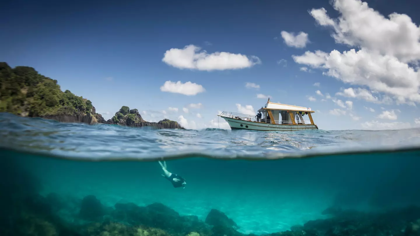 A woman snorkels underwater while a small tour boat moors nearby