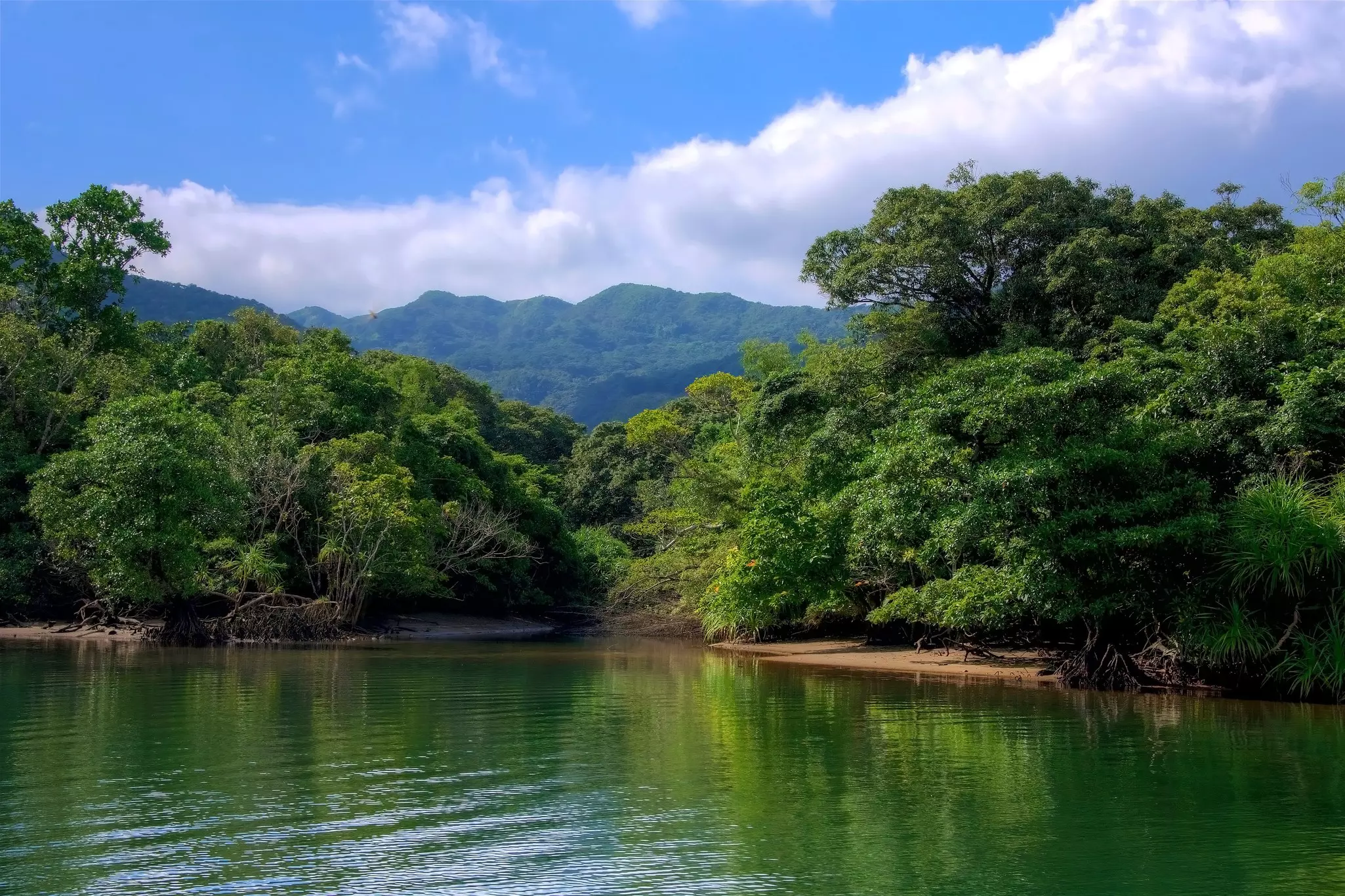Green trees along a riverbank with green mountains in the background against a blue sky with white clouds