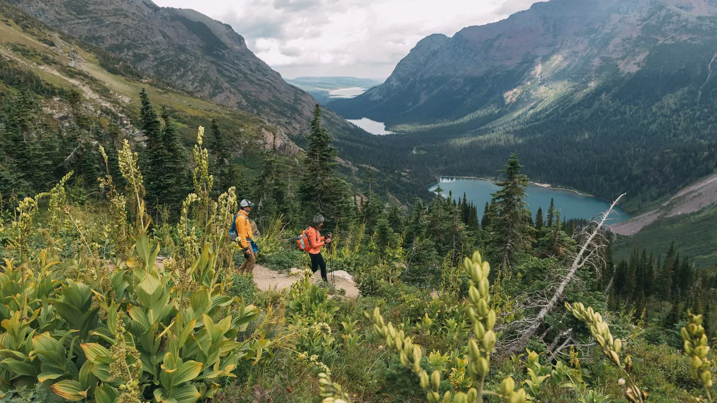 Two hikers follow a path through thick undergrowth downhill toward a lake