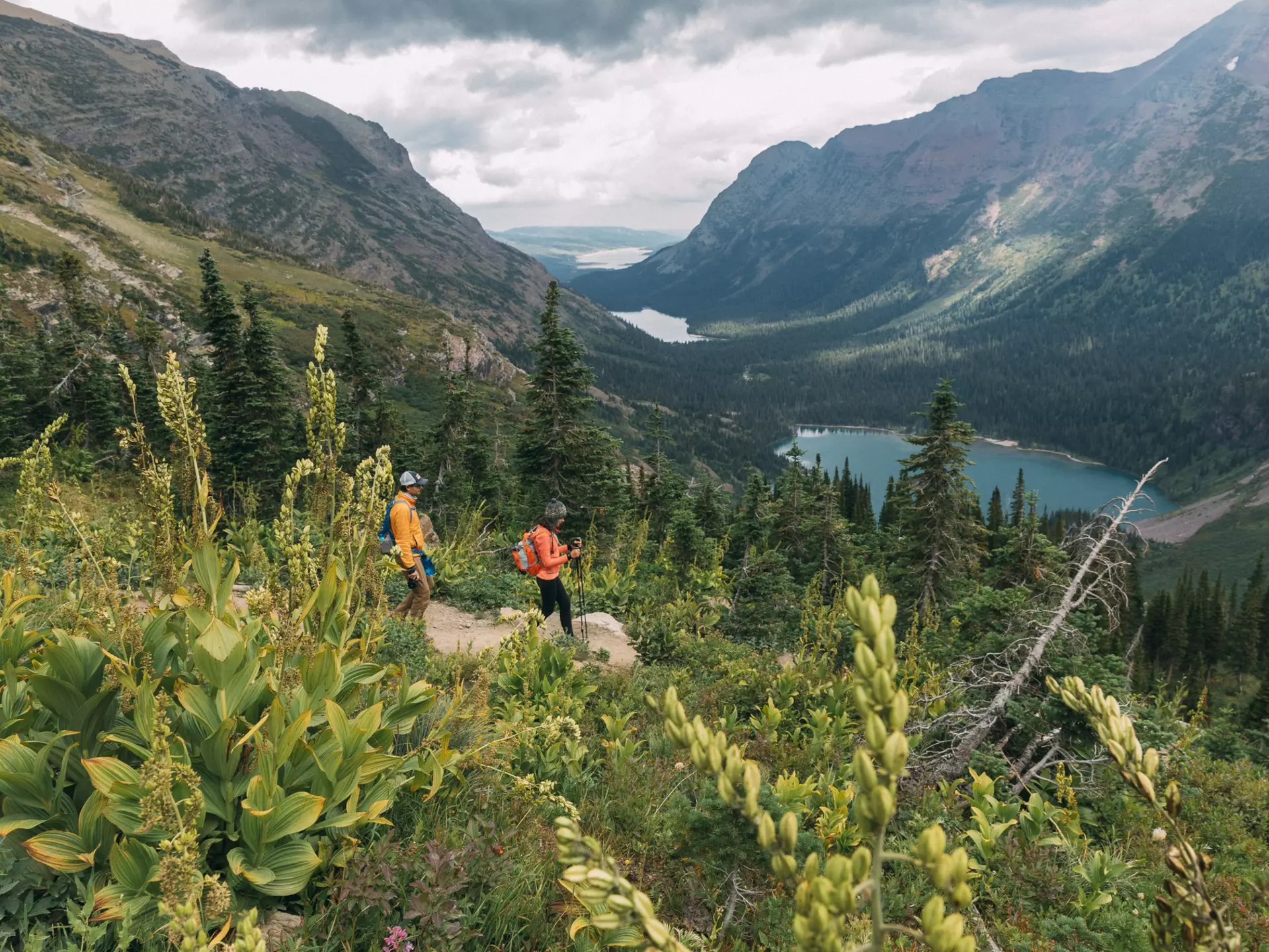 Two hikers follow a path through thick undergrowth downhill toward a lake