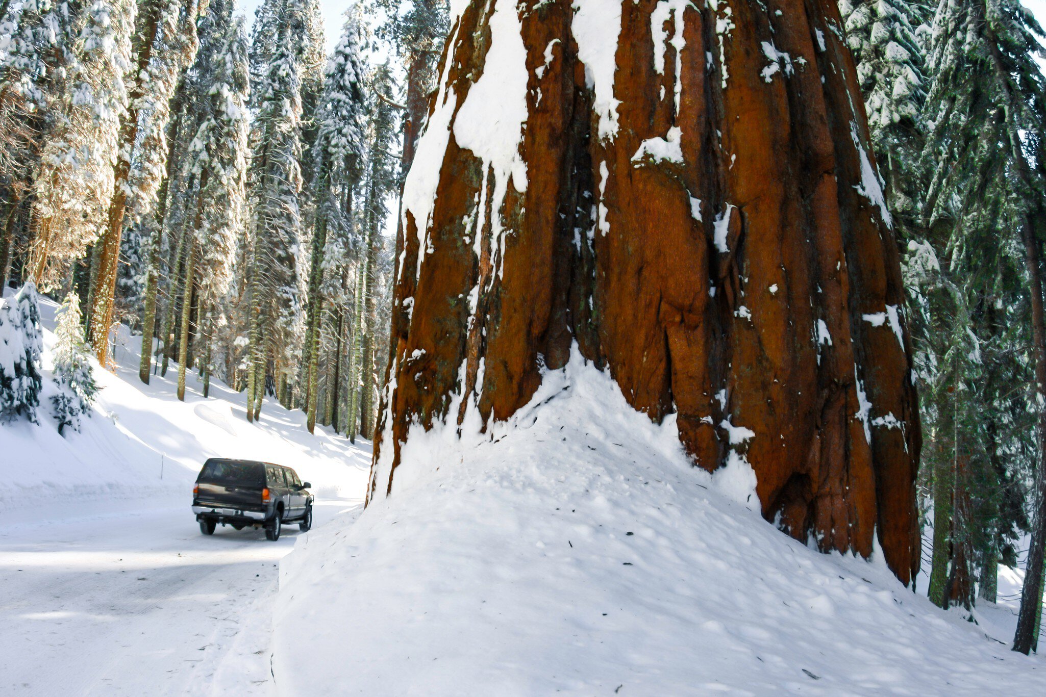 An SUV drives on a road covered in snow through dense forest.