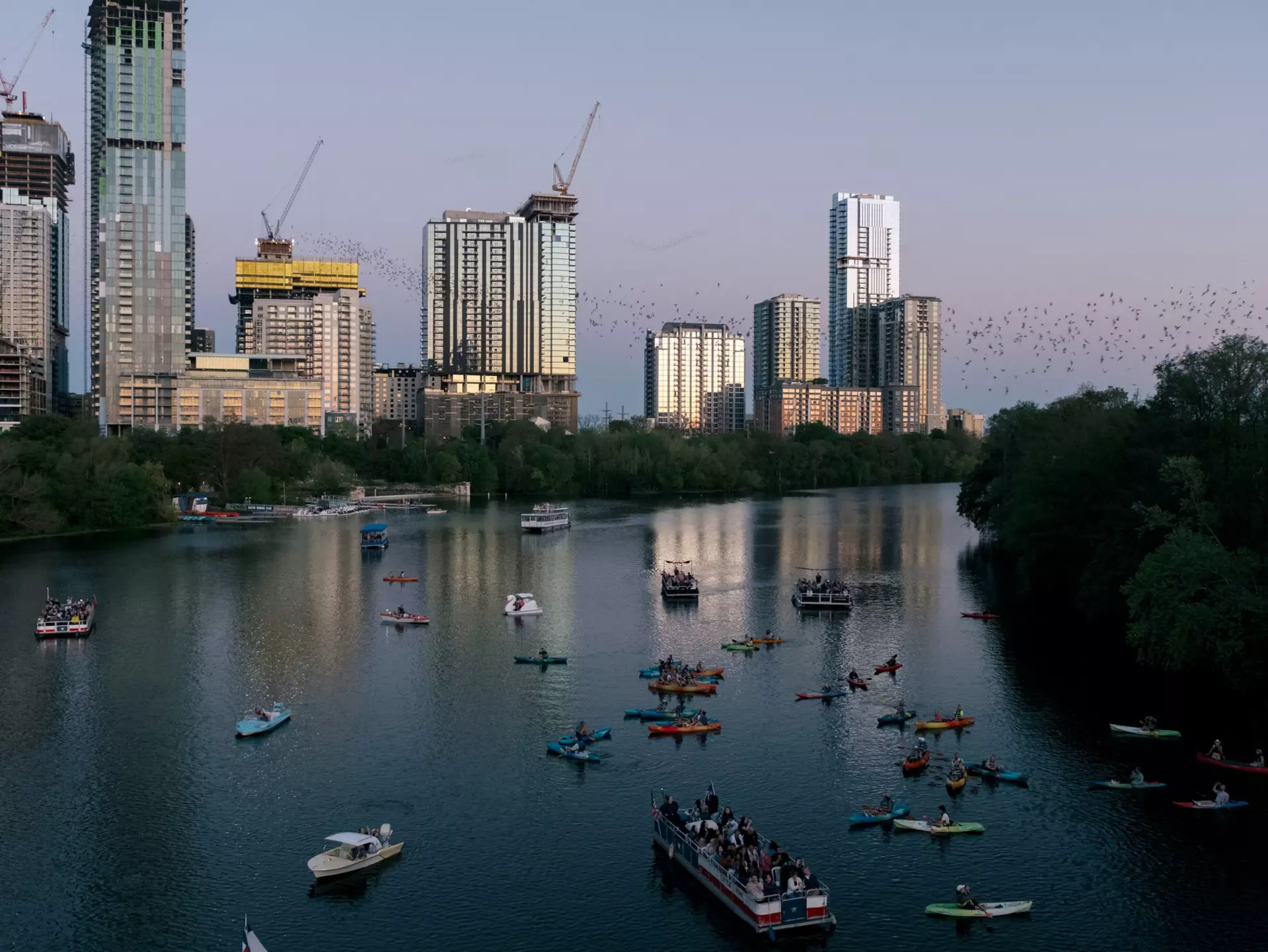 Aerial view of boats and kayaks on the water during sunset, as bats fly in the air in Austin, Texas.