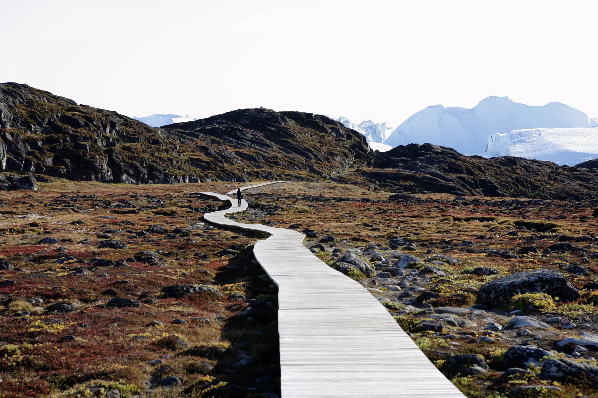 A single person walks on a long boardwalk path over scrubby tundra in Greenland.