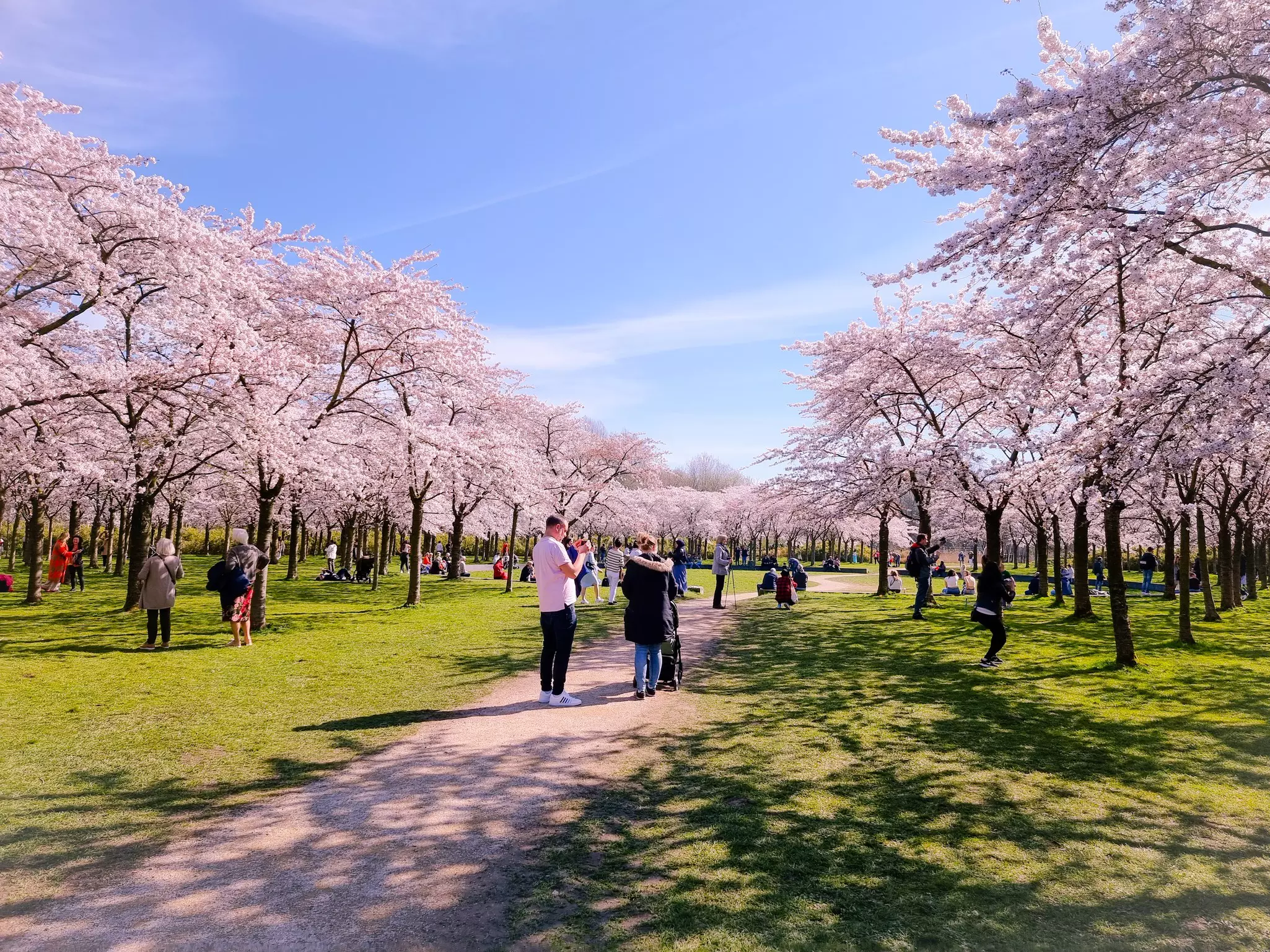Amsterdam's Bos is a spacious and verdant urban forest just a short distance from the city center © fokke baarssen / Shutterstock