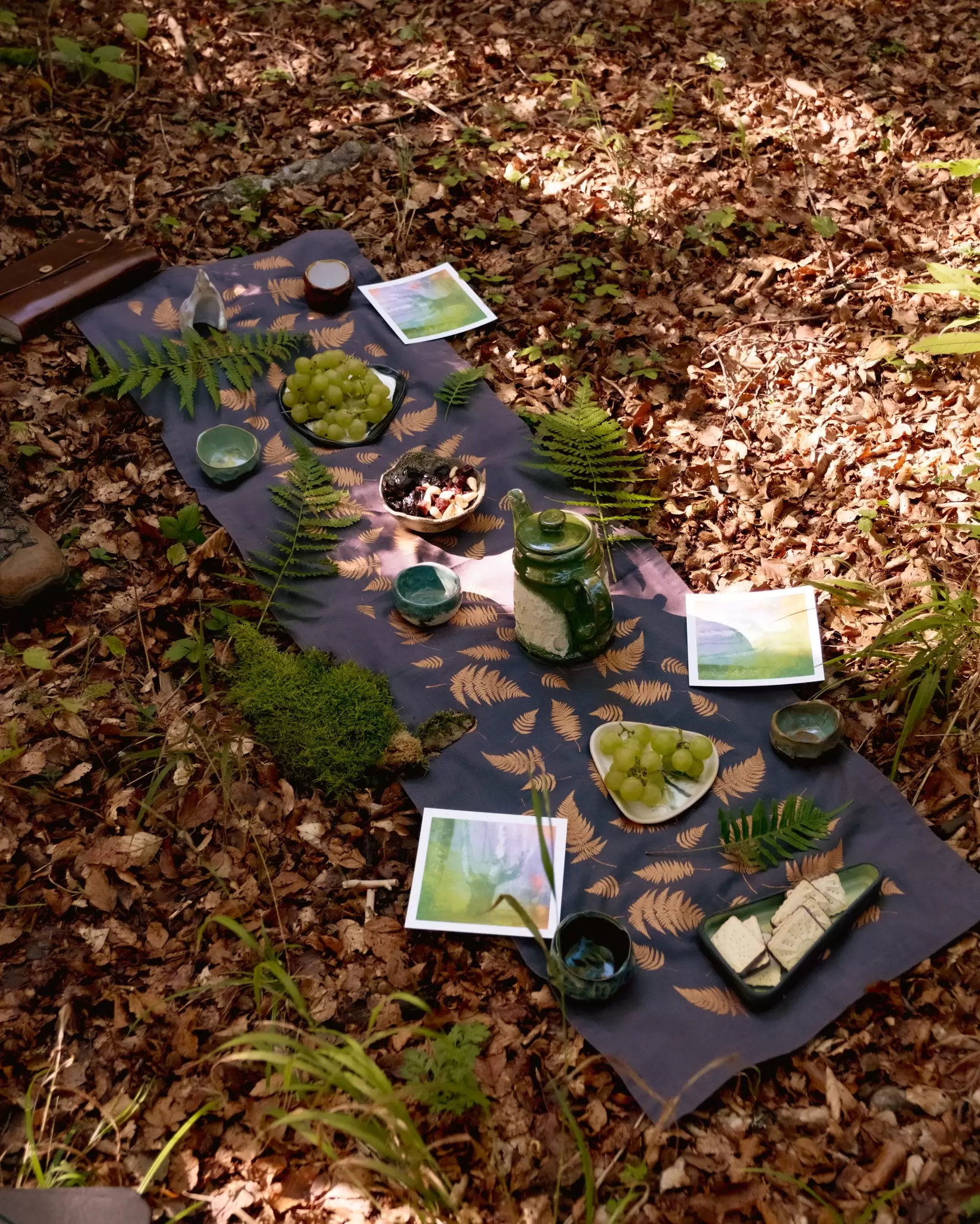 experiencing a forest detox in Kocevsko, Slovenia, September 2026
Kočevje, Slovenia, September 2026.