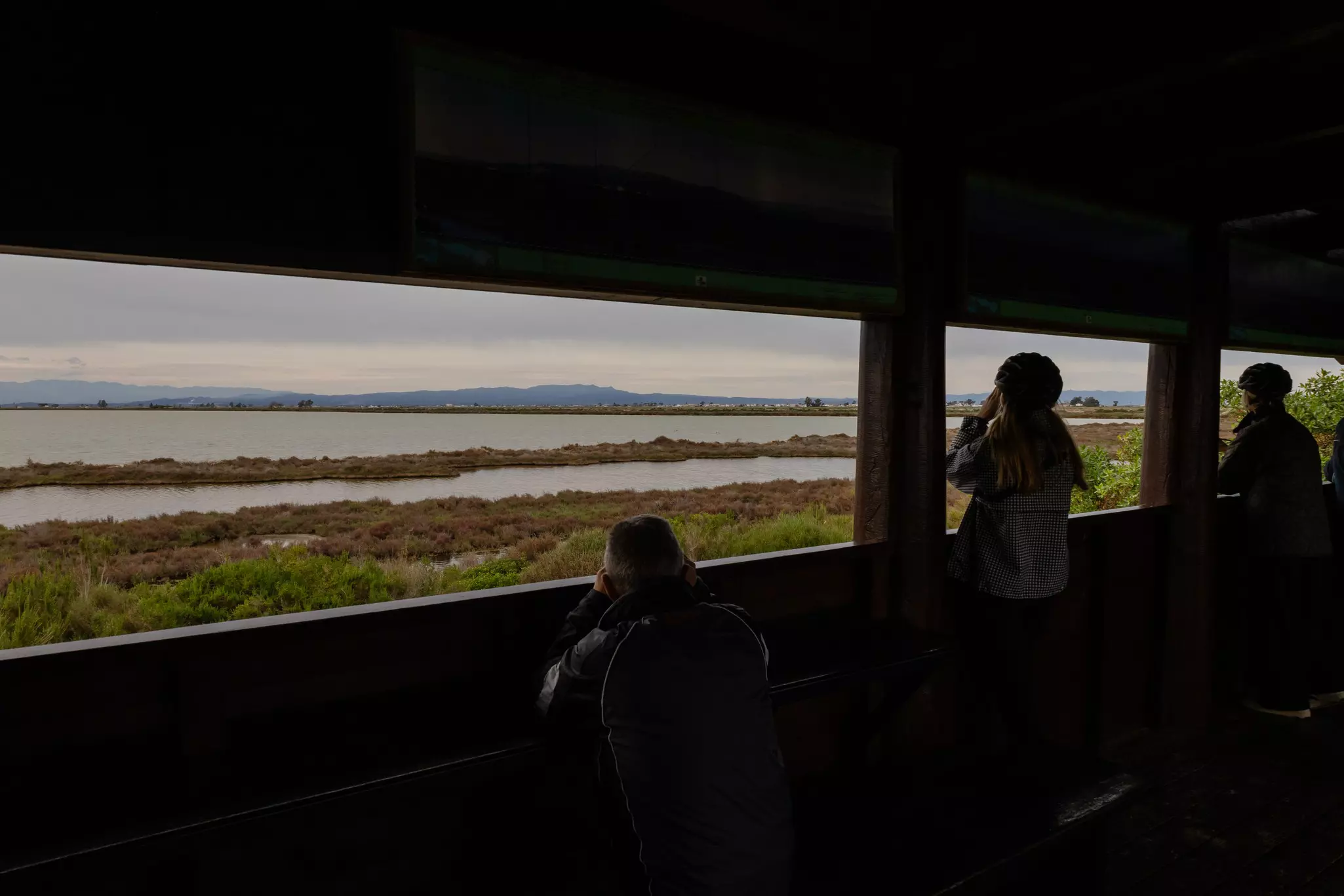 People in a darkened shelter use binoculars to look at a wetland.